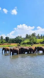 Тур по священному городу Канди