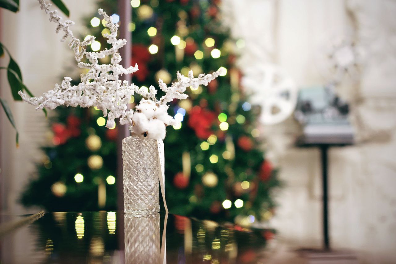 Резиденция Деда Мороза