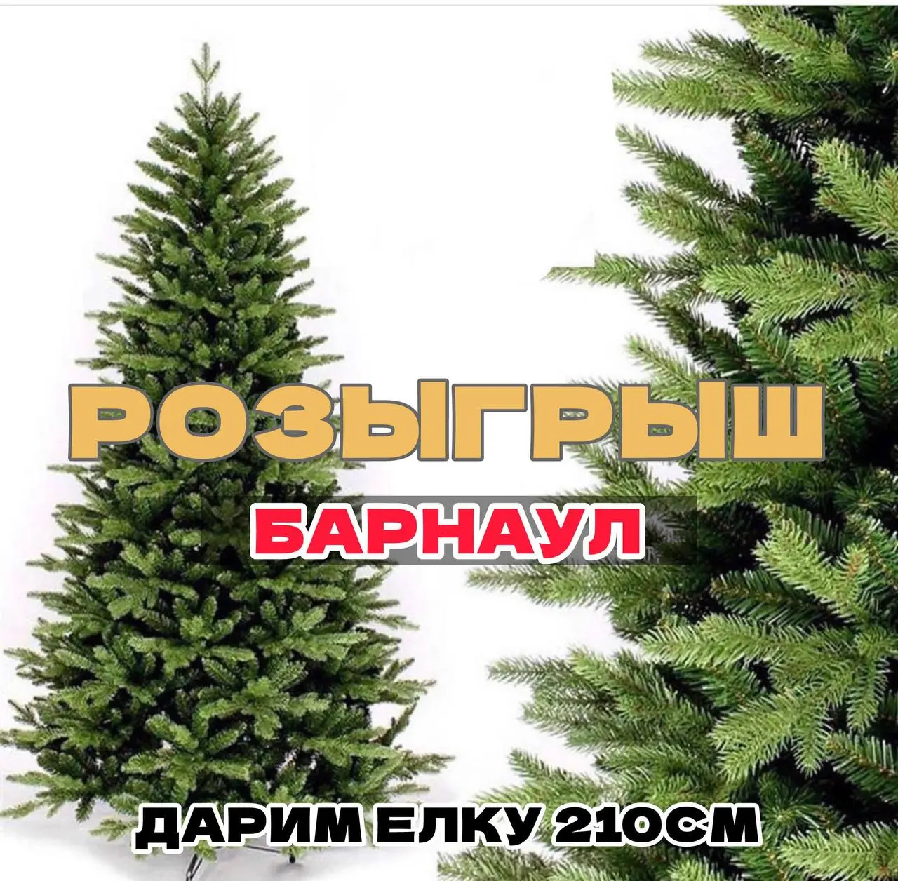 Розыгрыш новогодней ёлочки 210см