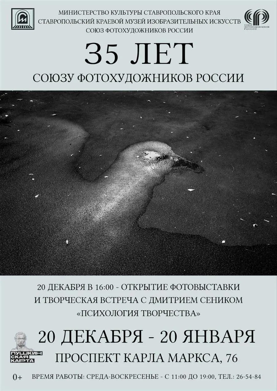 Выставка современных фотографов