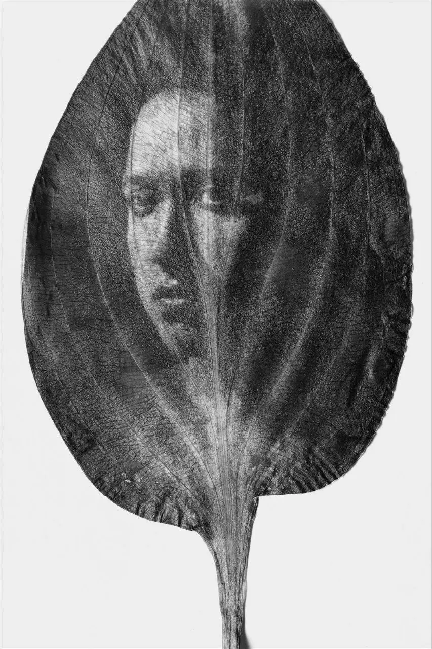 Выставка современных фотографов