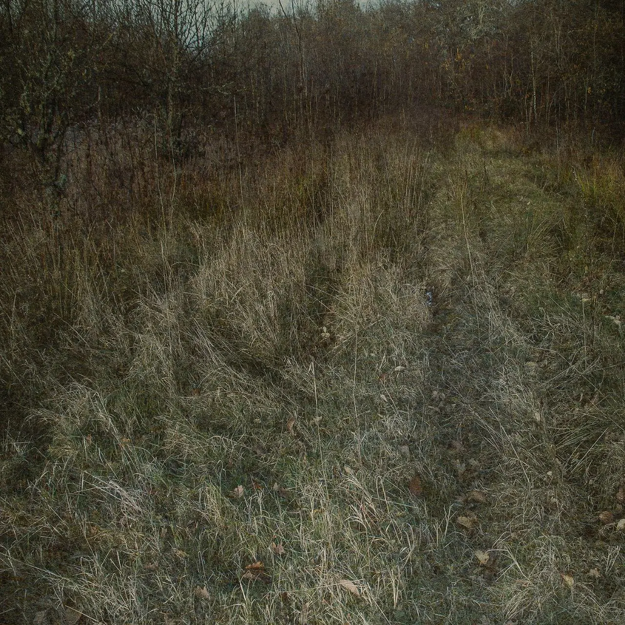 Выставка современных фотографов