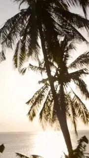 Ретрит по йоге в Шри-Ланке