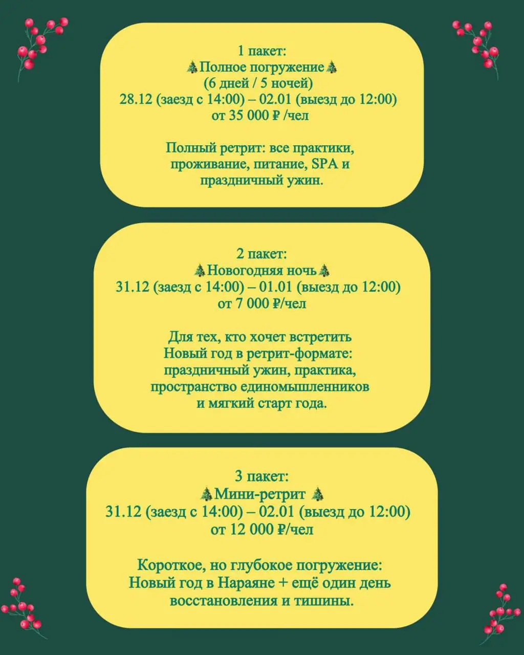 Ретрит в ретрит-центре Нараяна на Новый Год