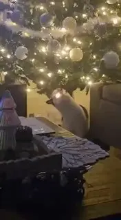 Праздник к нам приходит