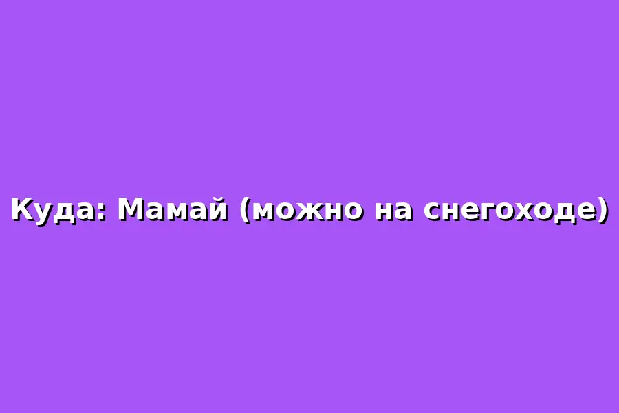 Поездка на снегоходе в Мамай