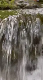 Йога-путешествие по Индии для начинающих