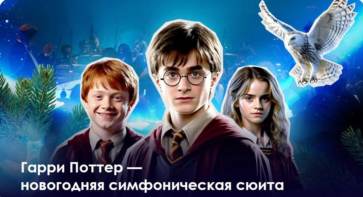 Концерт новогодней симфонической сюиты Гарри Поттера