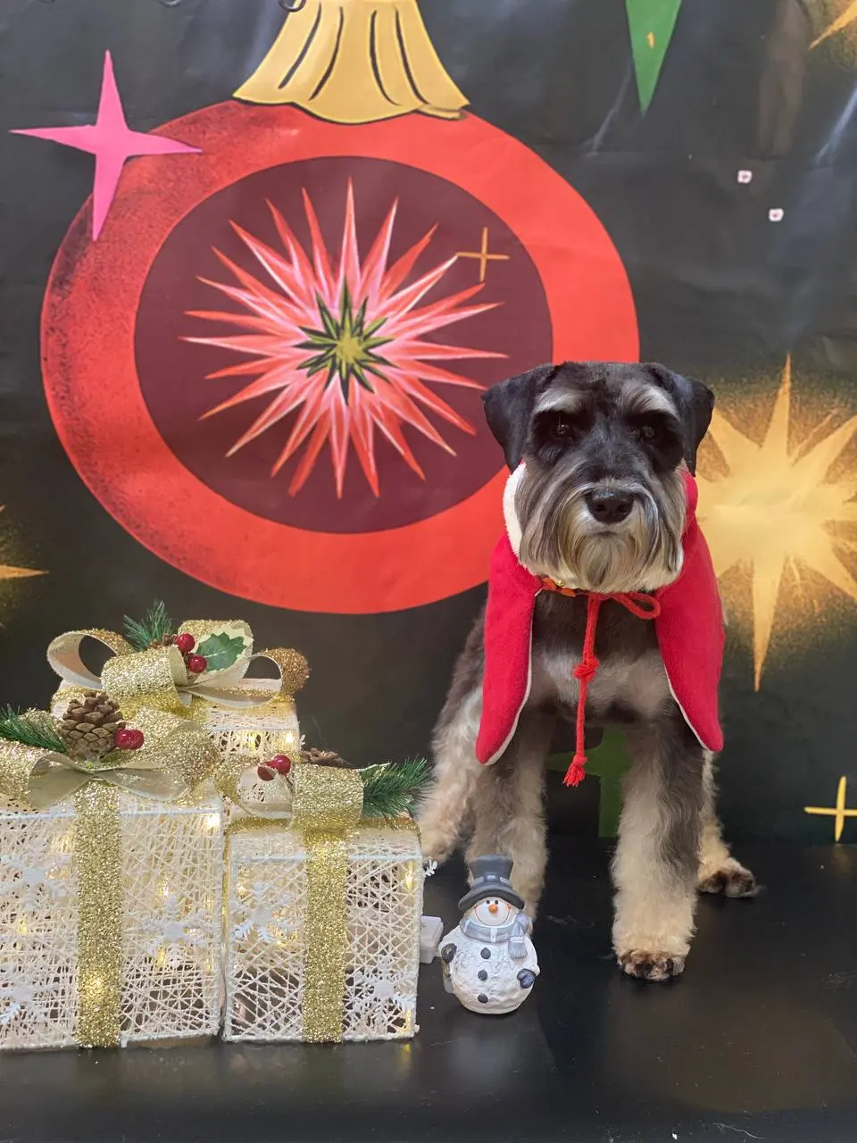 Свободное окошко