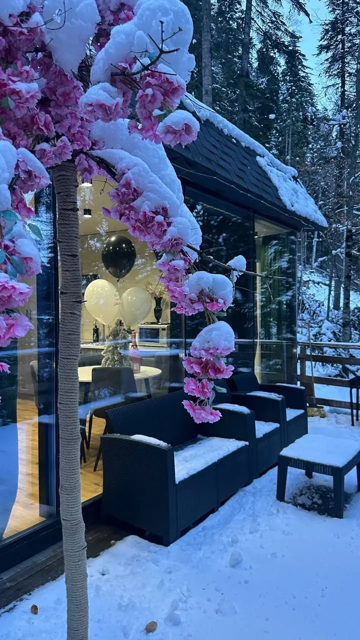 Аренда Стеклянного домика в Домбае