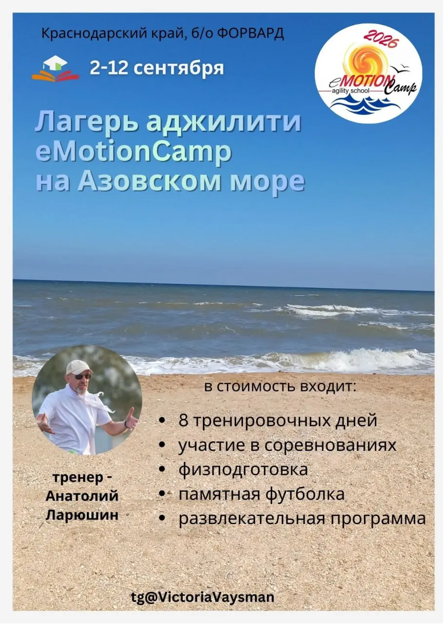 Сезонный лагерь аджилити на Азовском море