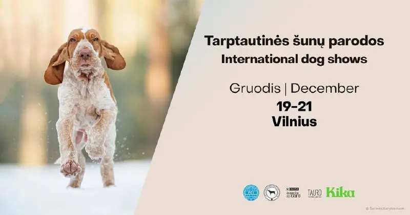 Выставка собак и кошек в Вильнюсе