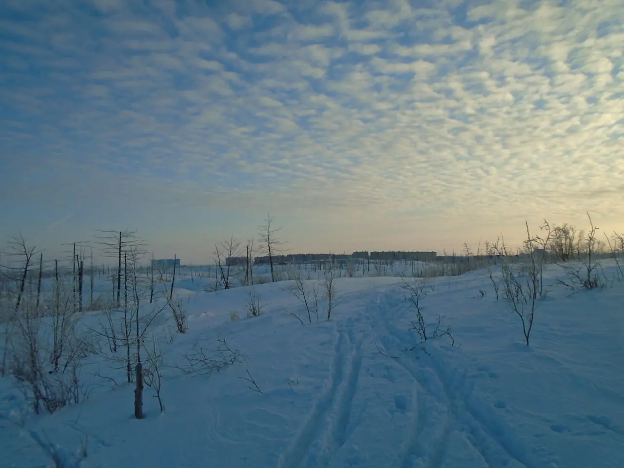 Автобусно-пешеходная экскурсия о строительстве города Норильска