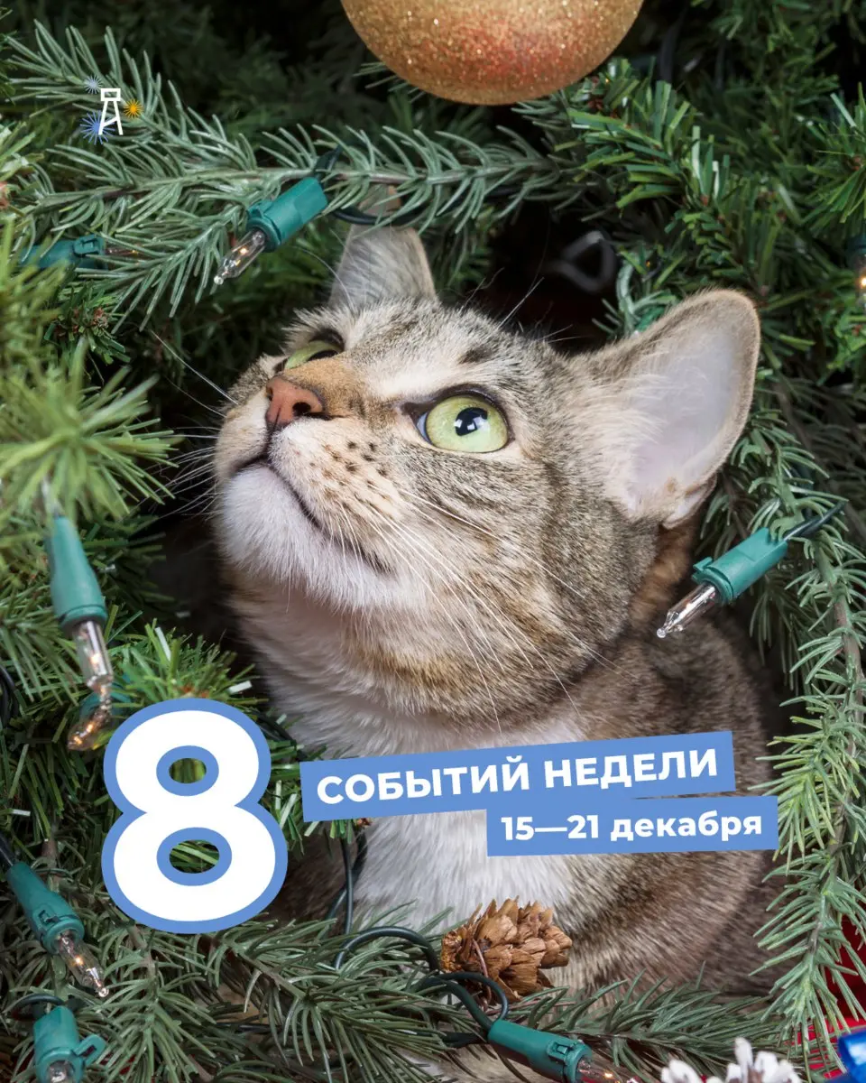 Клоунский перформанс на тему самопознания