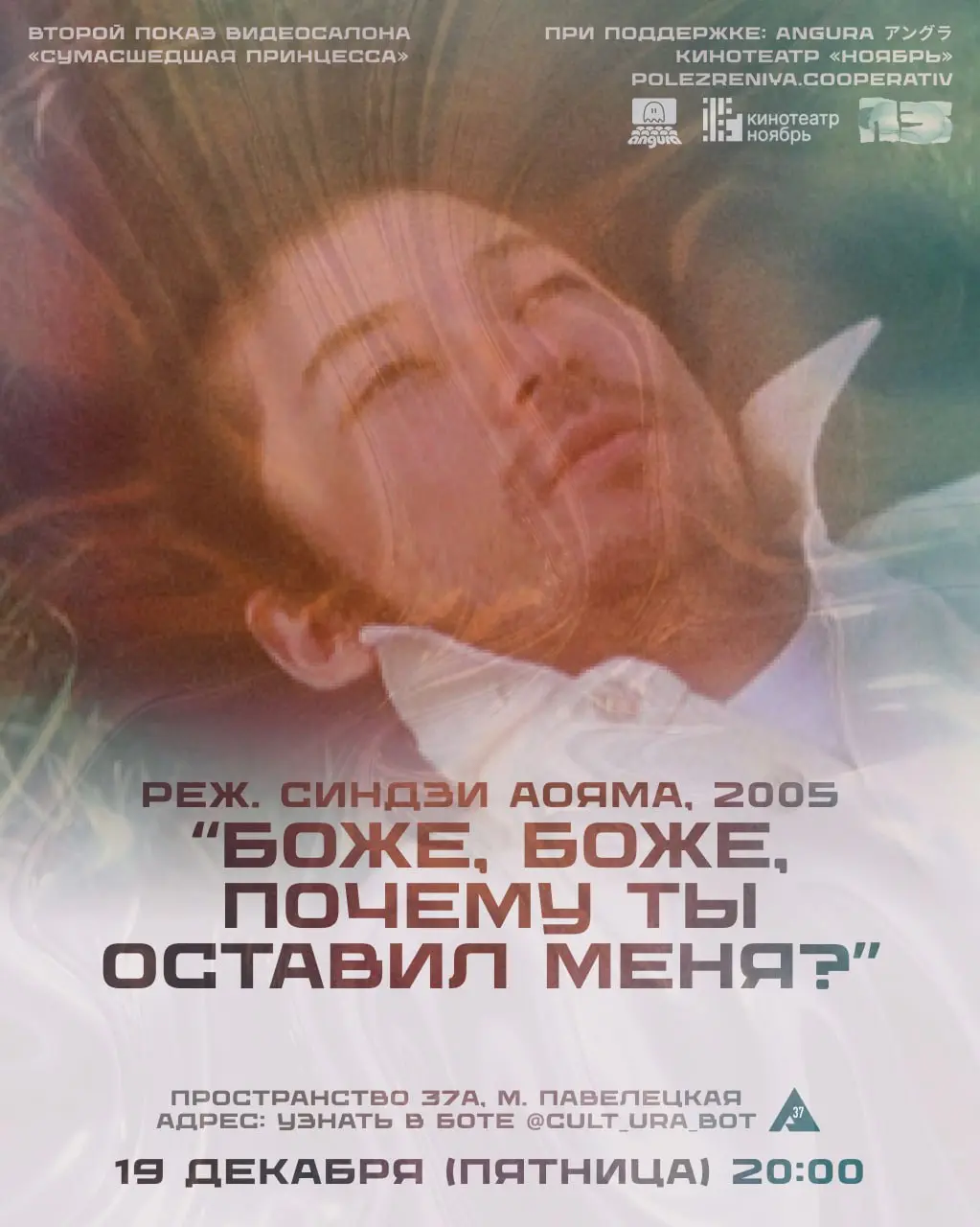 Показ видеосалона «Сумасшедшая принцесса»