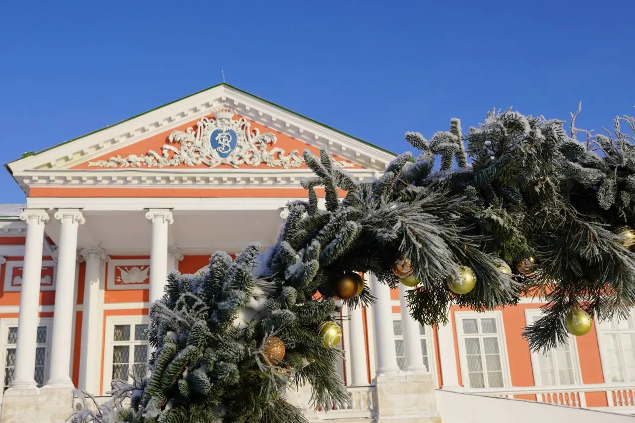 Интерактивная программа Новый год в Голландии и Италии