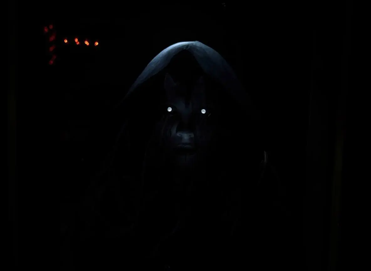 Розыгрыш новогодних сертификатов