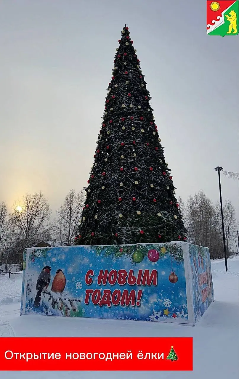 Открытие новогодней ёлки