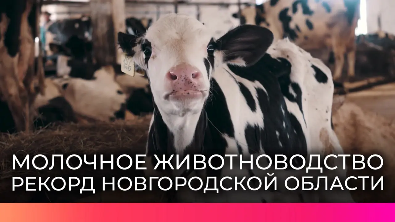 Конференция о трудоустройстве