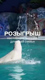 Розыгрыш новогодних призов