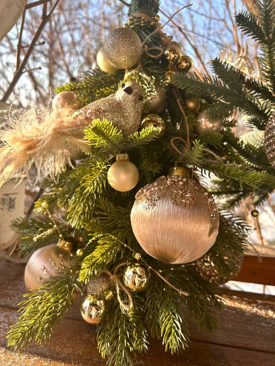 Акция на путёвки в лагерь 2026 года