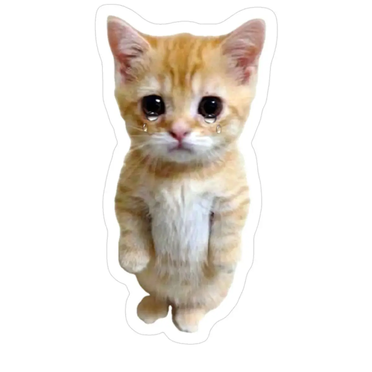 Стратегическая экспресс-сессия по выходу из тревоги