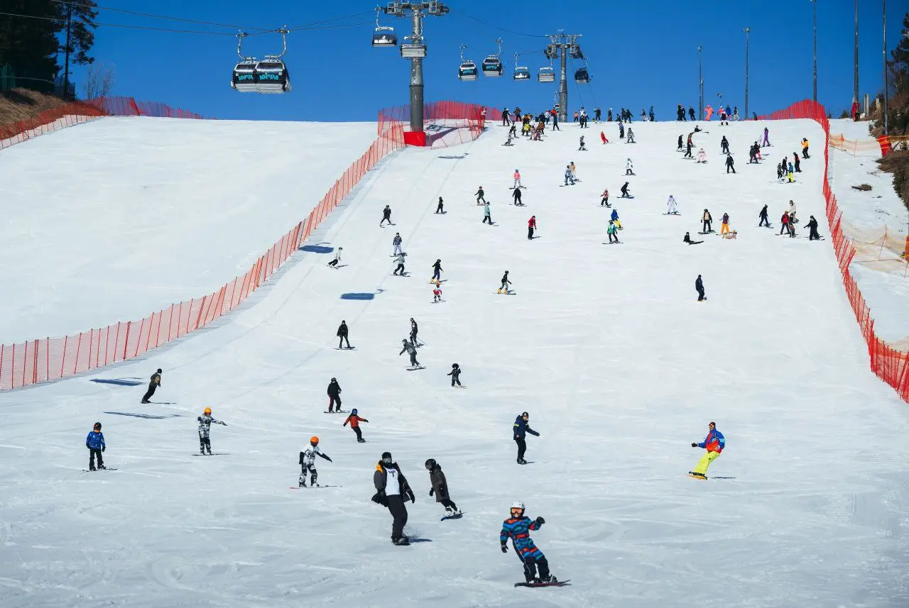 Открытие горнолыжного комплекса Хвойный урман