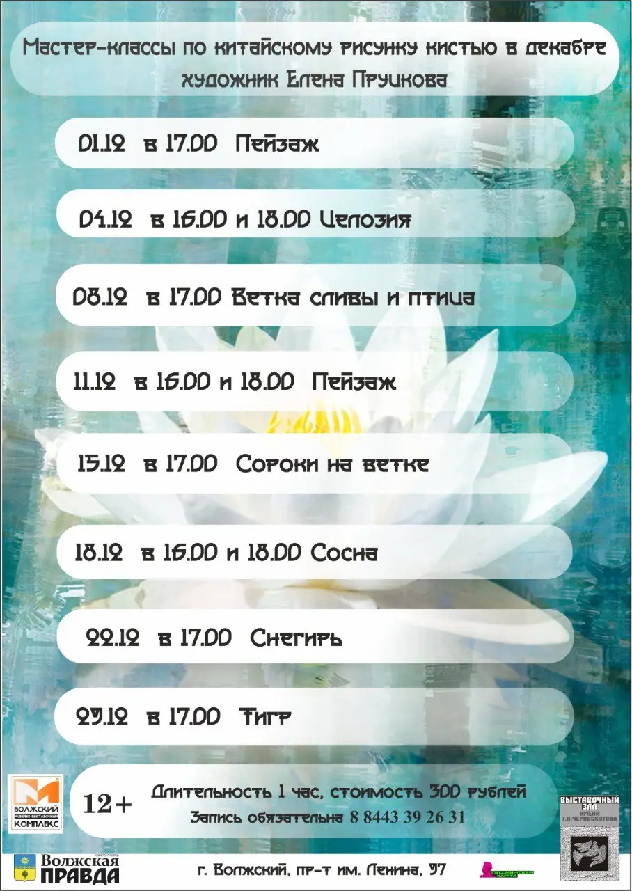 Мастер-классы по китайскому рисунку кистью