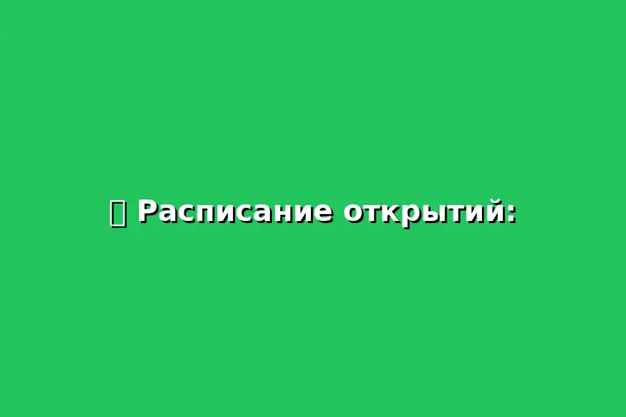 Праздничное открытие новогодних зон в районах