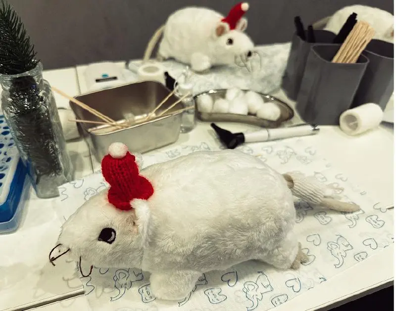 Научный Новый год для детей 5-13 лет