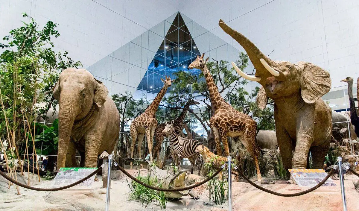 Посещение музея Дарвина