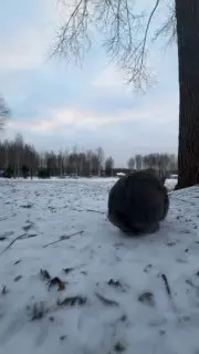 Акции гостиничного комплекса Ямская слобода