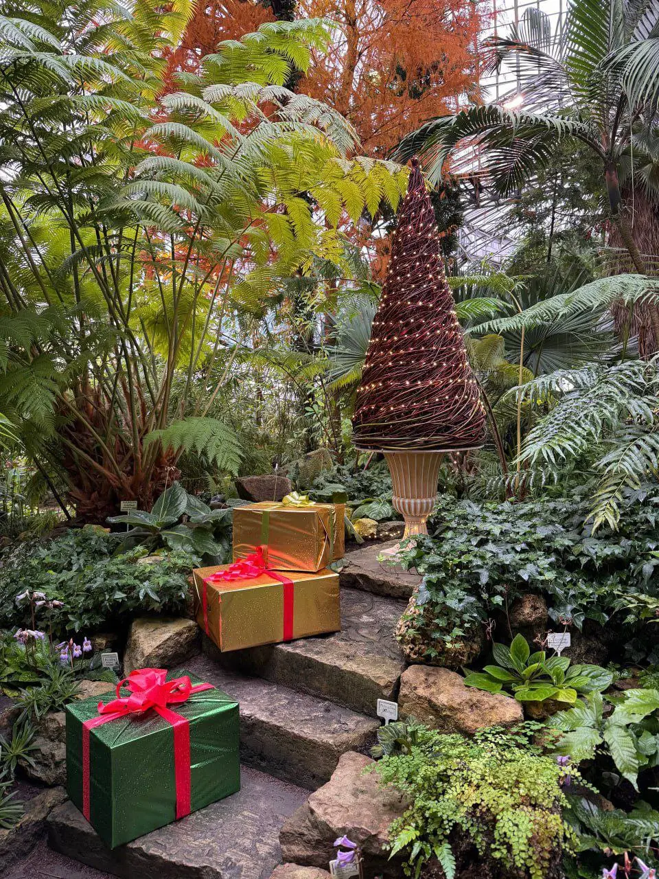 Бесплатный вход в Ботанический сад Петра Великого