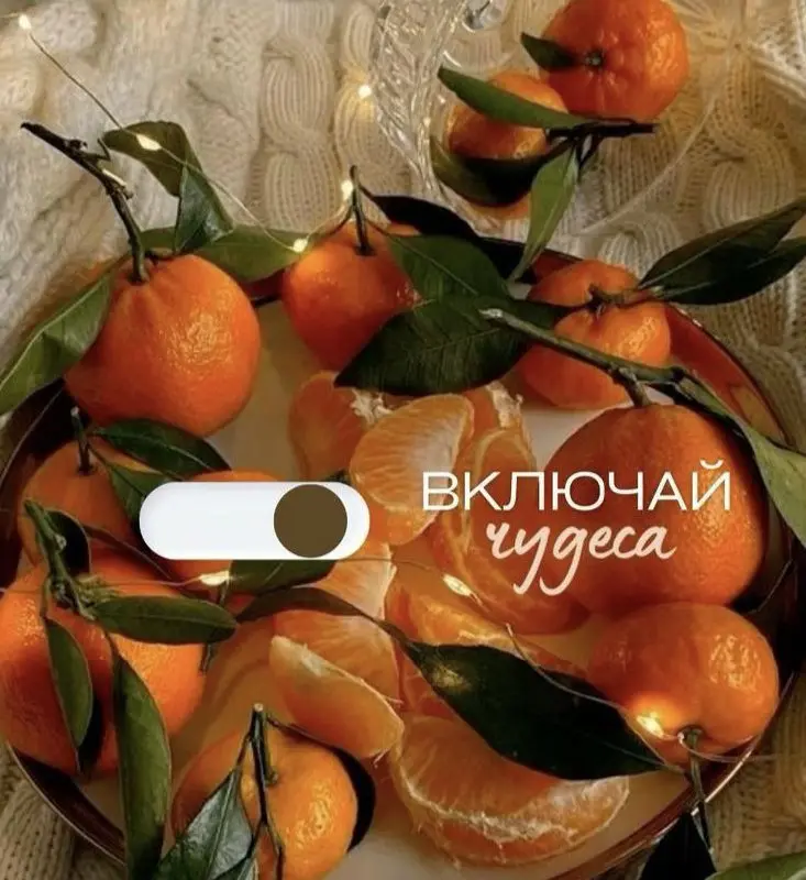 Новогодние каникулы с проживанием