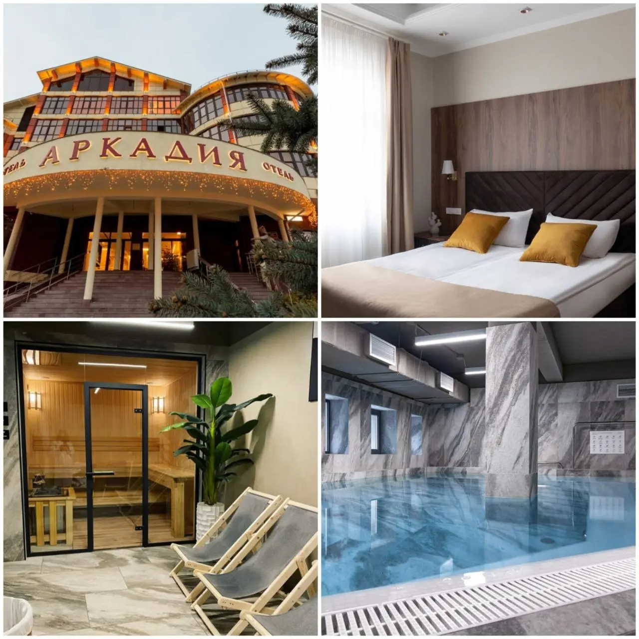 Проживание в отеле Аркадия