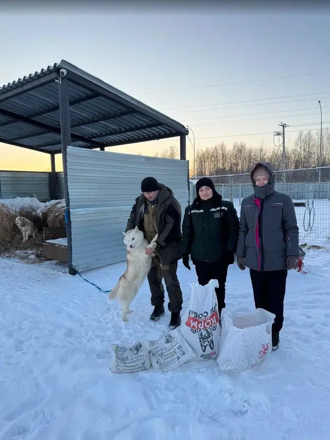 День открытых дверей в приюте для собак
