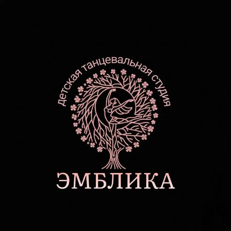 Набор в детскую танцевальную студию Эмблика