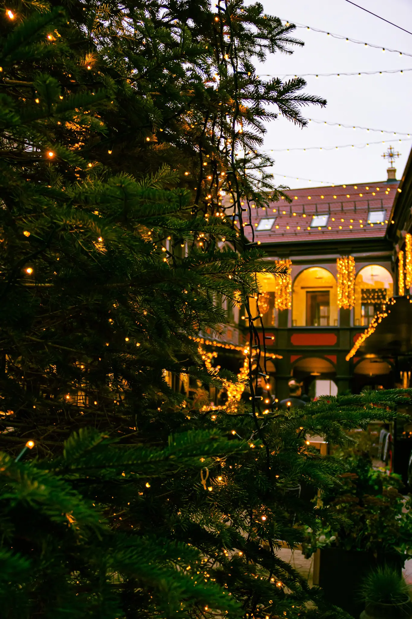 Бесплатная рождественская экскурсия по Вильнюсу