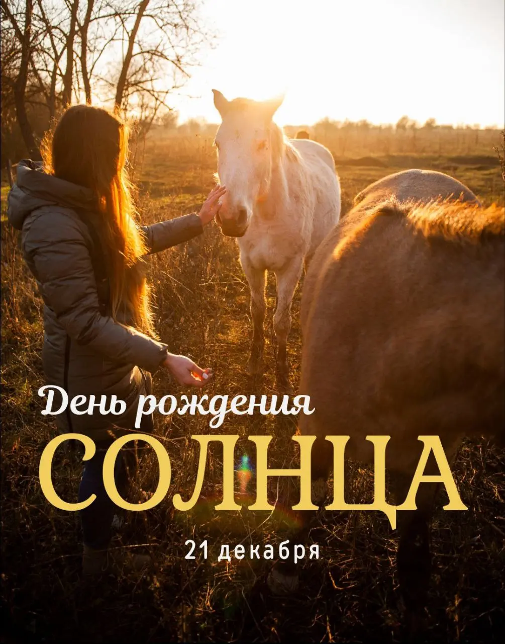 День рождения Нового Солнца на тему подведения итогов