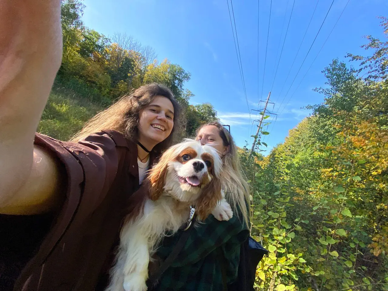 Баскетбольная игра на Московском проспекте