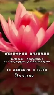 Сеанс звукотерапии по теме Денежная Алхимия