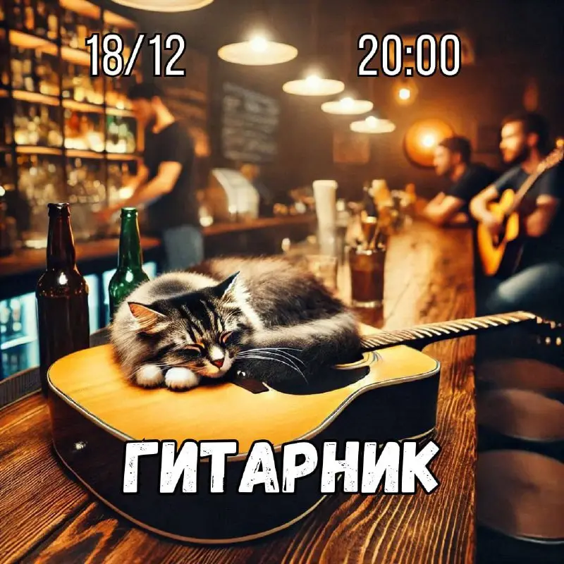 Гитарный вечер в баре «Толстый кот»