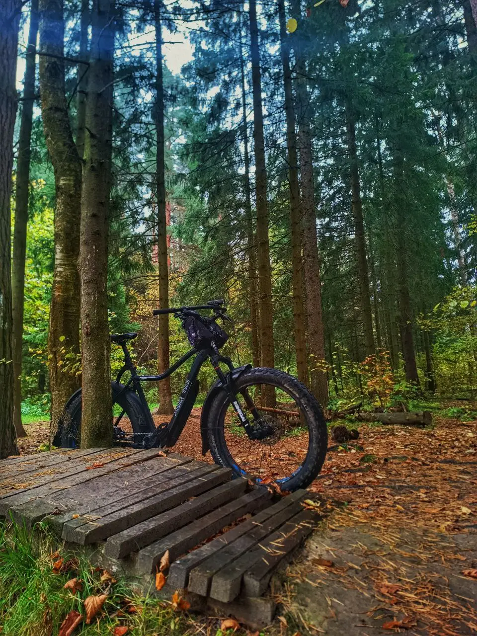 Вечерка парковая Белокаменная