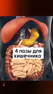 Курс йоги по оздоровлению женского организма