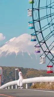 Тур в Японию на цветение глицинии