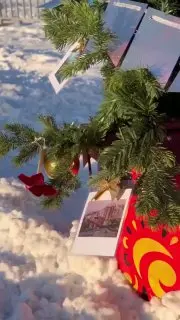 Соревнование новогодних елок в Хабаровске