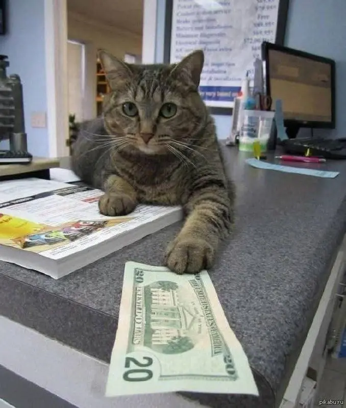 Игра в CASHFLOW 101