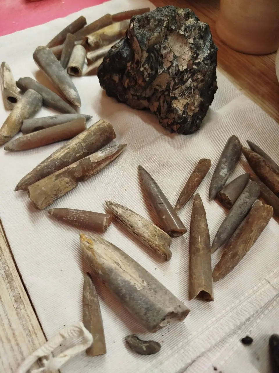 Лекция о Палеонтологии Подмосковья