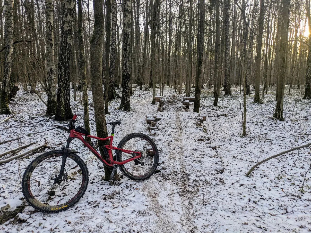 Покатушка по лесу для любителей МТБ