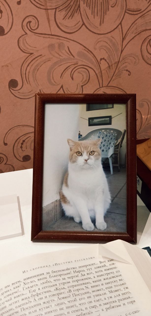 Археология юмора: Зощенко и Жванецкий